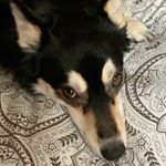 Profile Picture of Jackson Bertram (@jacksonbrtrm) on Instagram