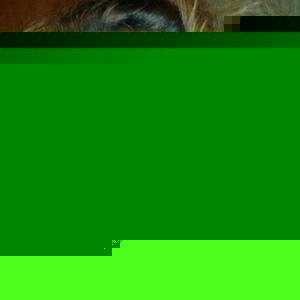 Profile Picture of Robin Givens (@robing413) on Myspace