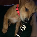 Profile Picture of Alexander Casper Mason&Oliver (@cheerybandgeeks) on Instagram