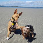 Profile Picture of Zoe Le Carpentier (@zoelec96) on Instagram