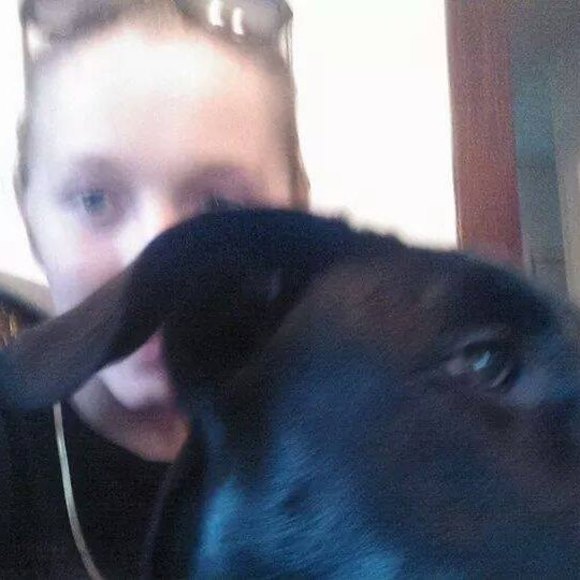 Profile Picture of Brandon Ludwinski (@sambarylsk) on Poshmark