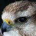 Profile Picture of David Batchelor (@david.batchelor.58) on Facebook