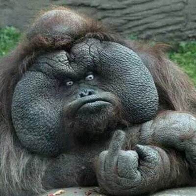 Profile Picture of Thaddeus Smith (@Thaddeussmith8) on Twitter
