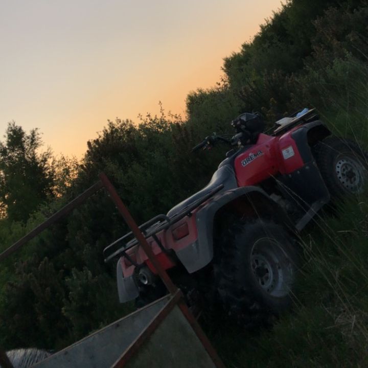 Profile Picture of Adam McCormack 🚜🐄🤠🐮🥩 (@adamclaas410arion) on Tiktok