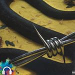 Profile Picture of Joshua Figler😜😂😎 (@figgster_26_) on Instagram