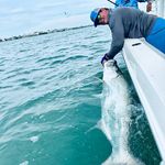 Profile Picture of Mark Moeller (@mark.moeller.526) on Instagram