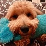 Profile Picture of Tammy Pritchard Fleenor (@fleenor9723) on Instagram