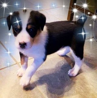 Profile Picture of Debbie Bonertz Purdy (Vogler) (@debbie.bonertzvogler) on Facebook