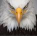 Profile Picture of Carl Man (@carl.man.90038882) on Facebook
