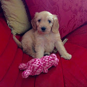 Profile Picture of James Ballantyne-Grant (@jamesballantyne-grant4179) on Youtube