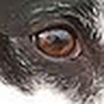 Profile Picture of Terry K. Friedman (@tkfriedman) on Flickr