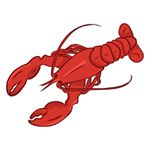 Profile Picture of Klooter Kreeft Clan! (@klooterkreeft) on Instagram