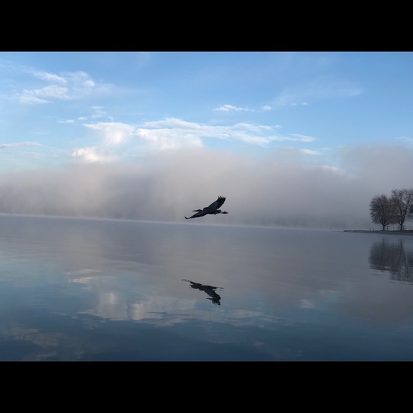 Profile Picture of Dylan Byrne (@dphb317) on Poshmark