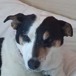 Profile Picture of daniel young (@xyoungdanielart) on Instagram