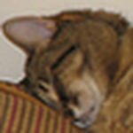 Profile Picture of Tricia Cyrus Moore Brown (@matracia.quene) on Flickr
