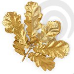 Gregory Zukowski - Instagram Profile Picture of Gregory Zukowski (@gregory_zukowski) on Instagram