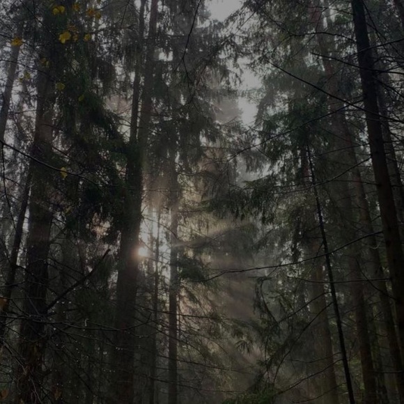 Profile Picture of Emma Tench (@emmatench) on Poshmark