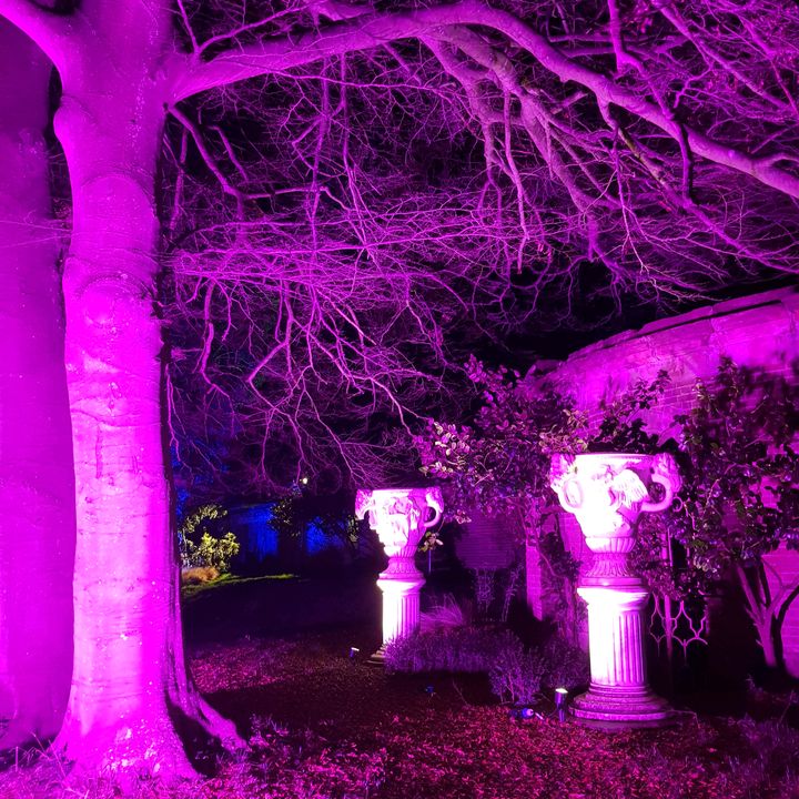 Profile Picture of JP (@johndenyer1) on Tiktok