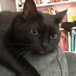 Profile Picture of Jason vickers (@jason.vickers_) on Instagram