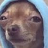 Profile Picture of Joseph Aitken (@@josephaitken) on Tiktok