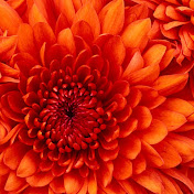 Profile Picture of Danny Barajas (@dannybarajas9324) on Youtube