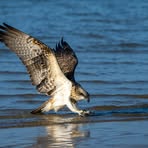 Profile Picture of John Hockings (@john.hockings.16) on Facebook