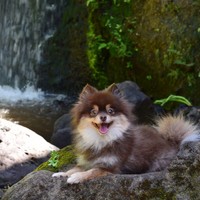 Profile Picture of Joyce Mojica (@joyce-mojica-8) on Quora