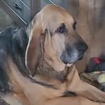 Profile Picture of Joseph Pappert (@joseph.pappert) on Facebook