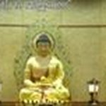 Profile Picture of Steven Salim (@stevensalim6993) on Instagram