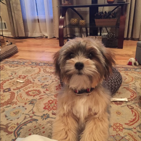 Profile Picture of Renee Bailey (@lrbailey1966) on Poshmark