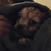 Profile Picture of Zoey Kelly (@ZoeyKelly-pq6wb) on Youtube