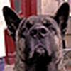 Profile Picture of Caleb Sylvester (@Caleb Sylvester) on Flickr