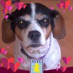 Profile Picture of Christine Westall (@christinewestall) on Instagram