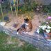 Profile Picture of Thomas Wenger (@thomas.wenger.777) on Facebook