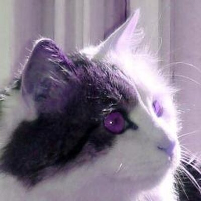 Profile Picture of Felix Yan (@felixonmars) on Twitter