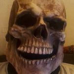 Profile Picture of Stephen Vessey (@stephen.vessey) on Instagram