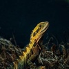 Profile Picture of Josh Holgate412 (@@joshholgate2) on Tiktok