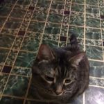 Profile Picture of Joyce Brett (@joyce.brett.986) on Instagram