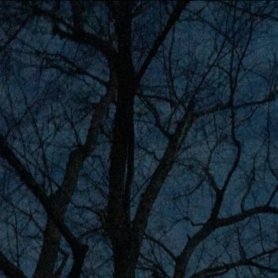 Profile Picture of Brian JR Bagnall (@bagnall_jr) on Twitter