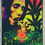 Profile Picture of BobMarlegalization (@bobbyweedlover) on Instagram