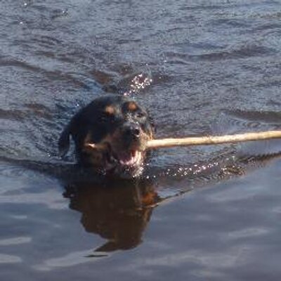 Profile Picture of Eric Hammerstrom (@ehammerstrom) on Twitter