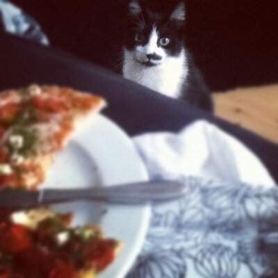 Profile Picture of Rene Gary (@ReneGary638) on Twitter