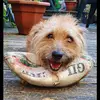 Profile Picture of jeffreywakeham (@jeffrey.wakeham) on Tiktok
