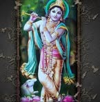 Profile Picture of Amrishkumar Patel (@ampatel63) on Facebook
