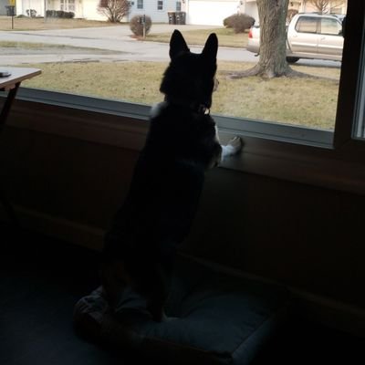 Profile Picture of Jeff Horstman (@JeffHorstman1) on Twitter