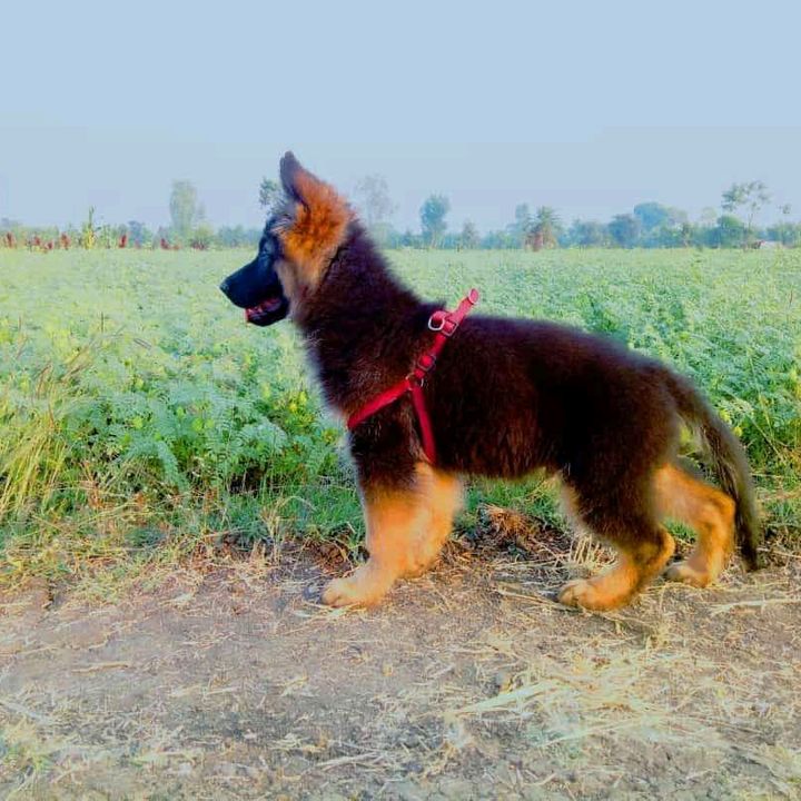 COBBY - Tiktok Profile Picture of COBBY (@cobby_brianne) on Tiktok