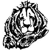 Profile Picture of Lionathletictrainer (@DanielleATNorth) on Twitter
