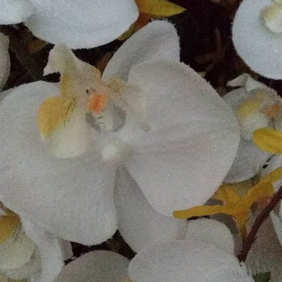 Dani Taylor - Poshmark Profile Picture of Dani Taylor (@dani163) on Poshmark