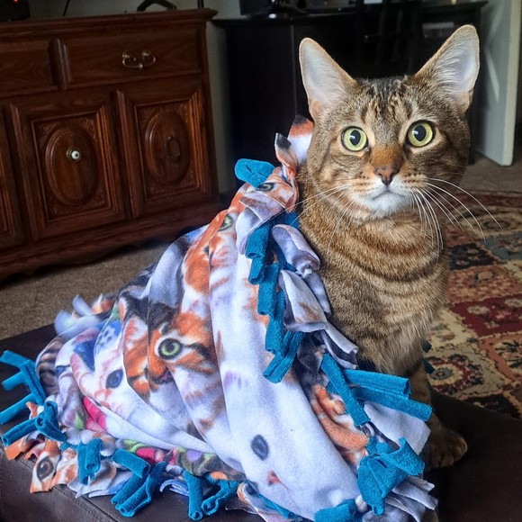 Profile Picture of Dawn Haney (@dawnhaney) on Poshmark