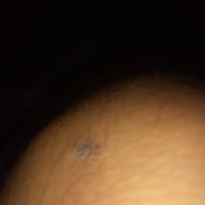 Profile Picture of Rogelio Galván Acevedo (@galvan_acevedo) on Twitter